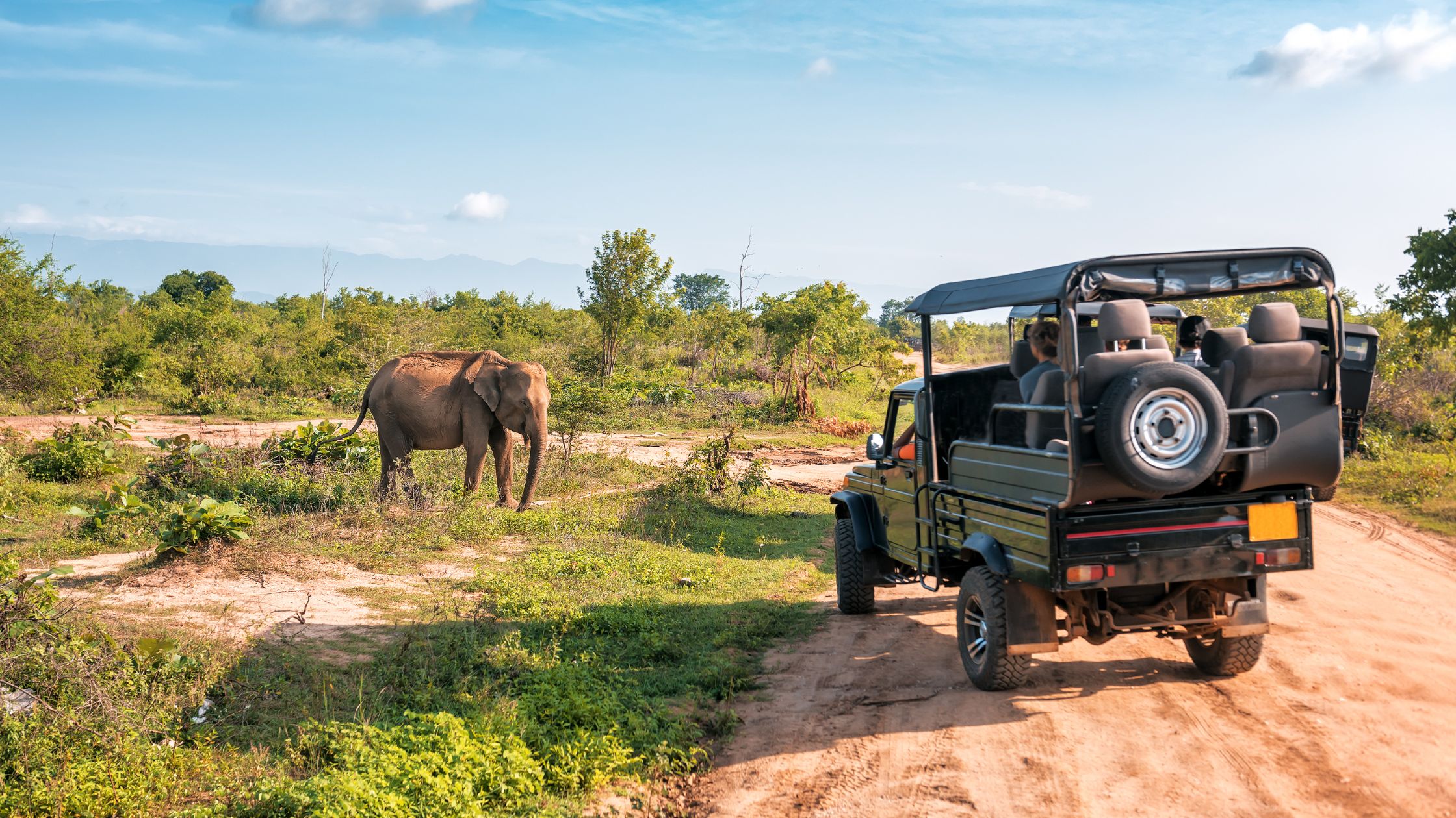 African Safari Tours