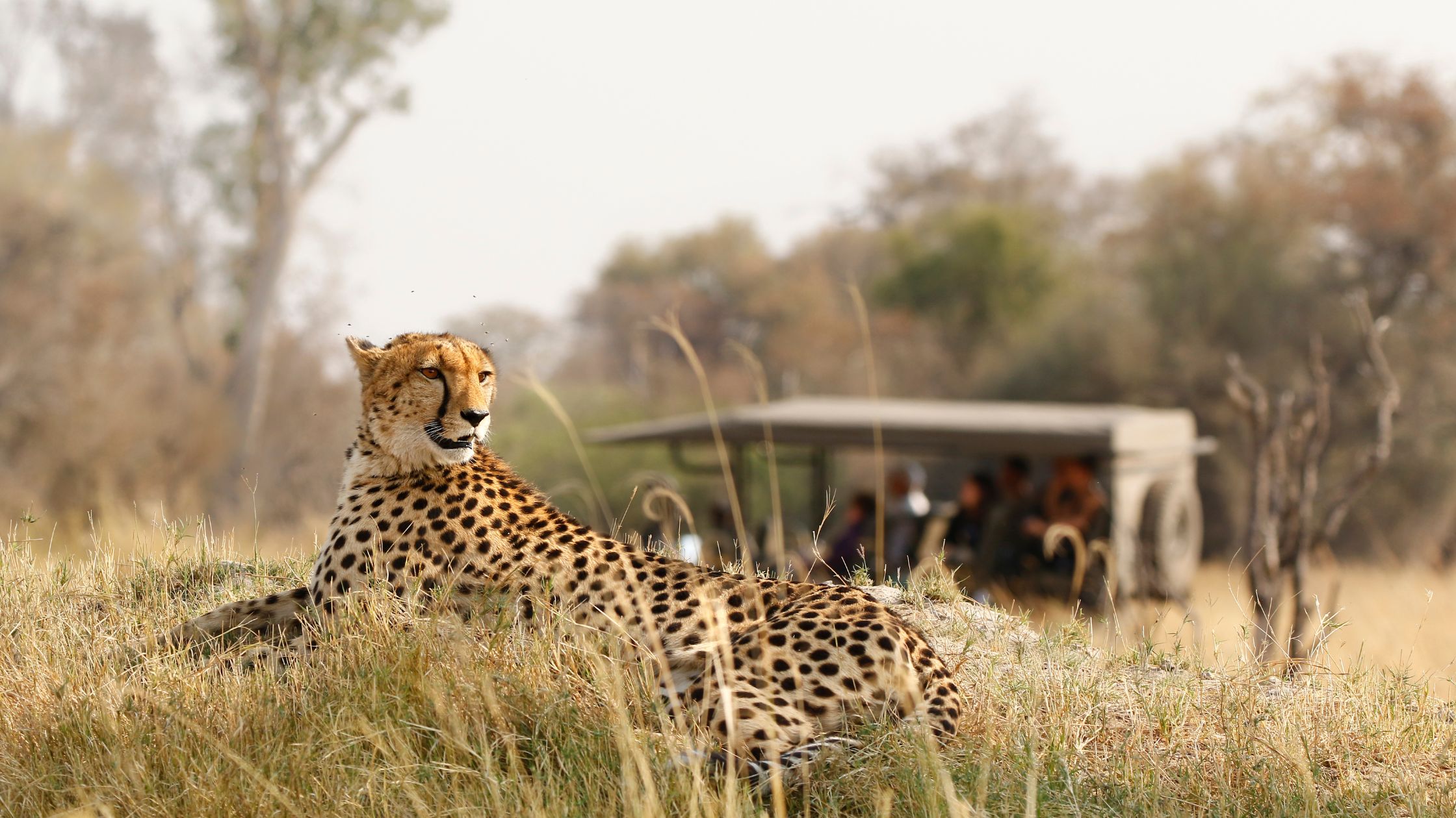 Conservation Champions