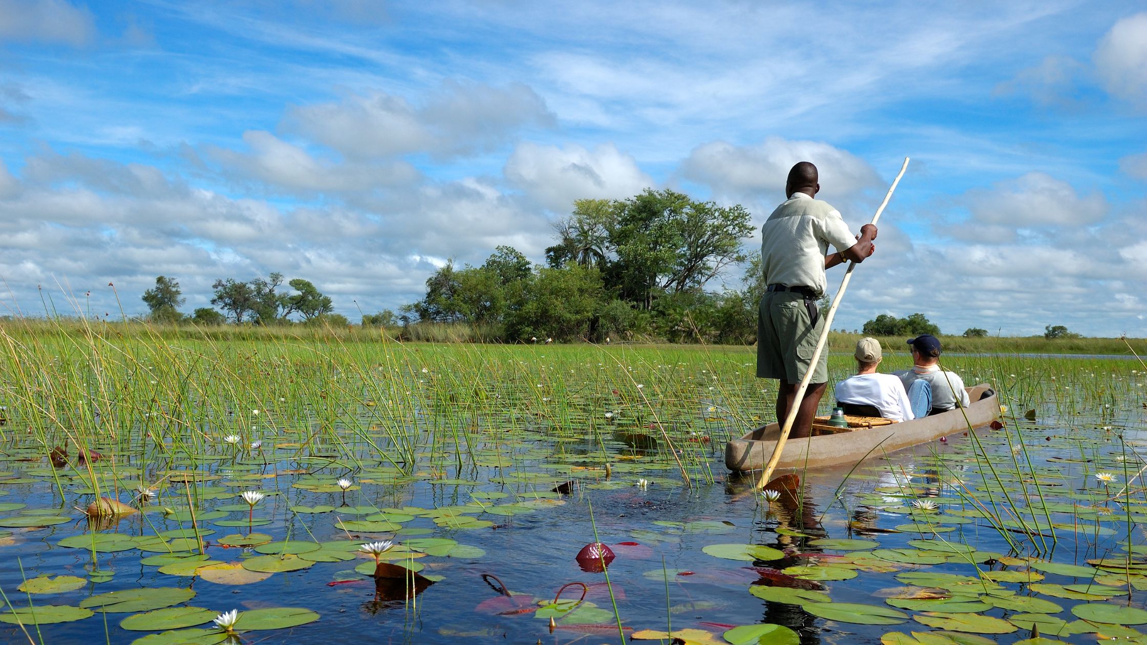 Canoe safari