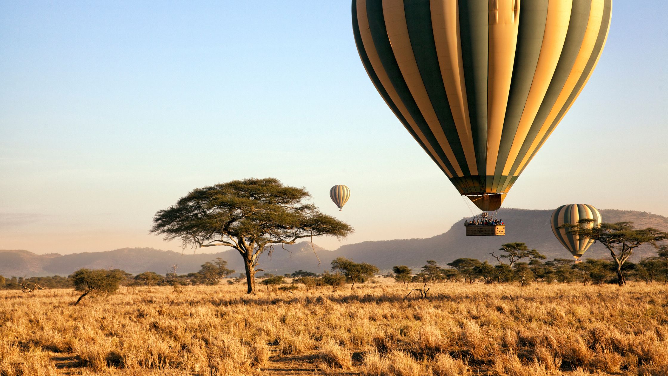 Family Safari in the Serengeti