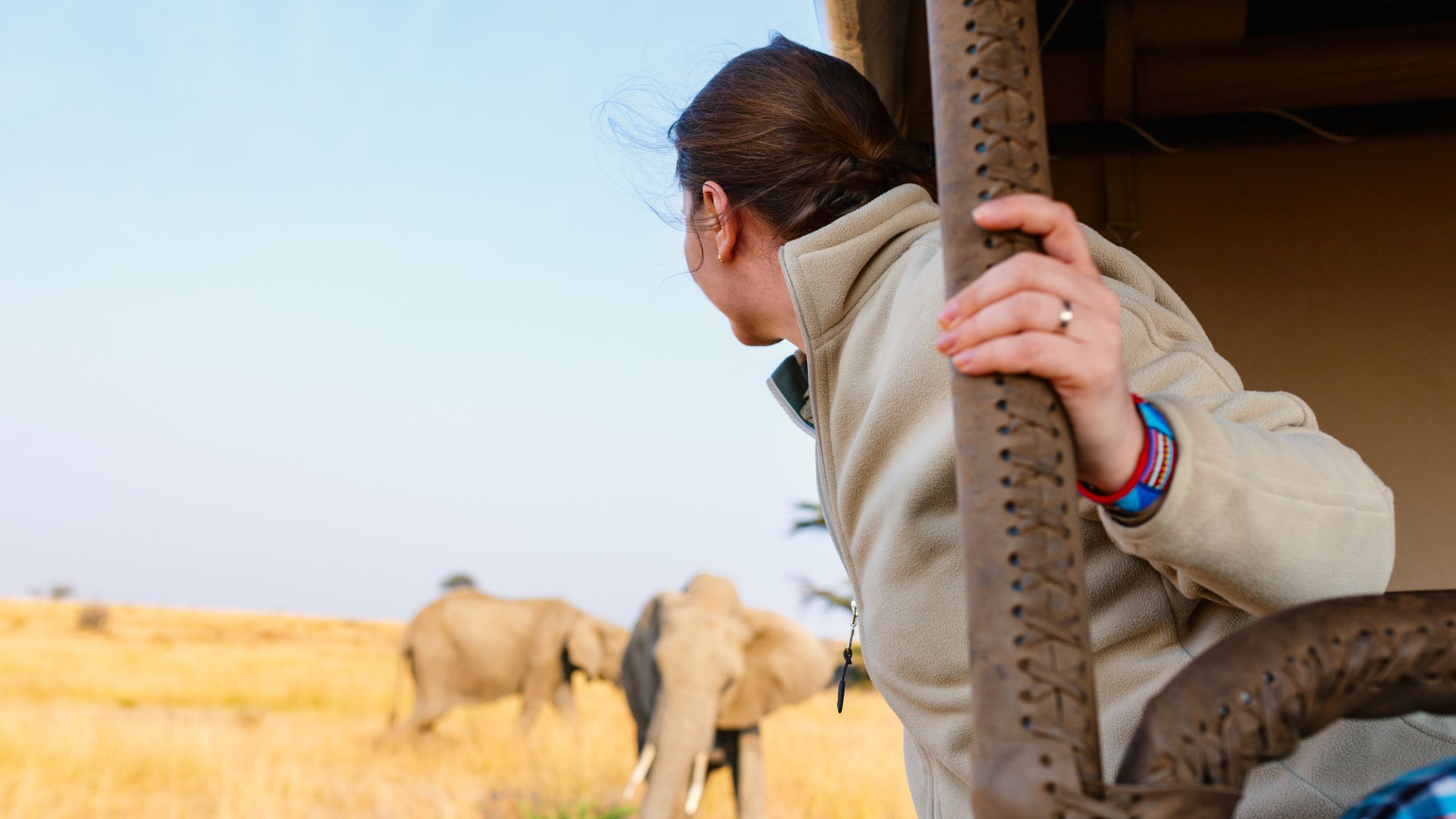 The Big Five Wildlife Guide to Spotting Africa's Most Iconic Animals