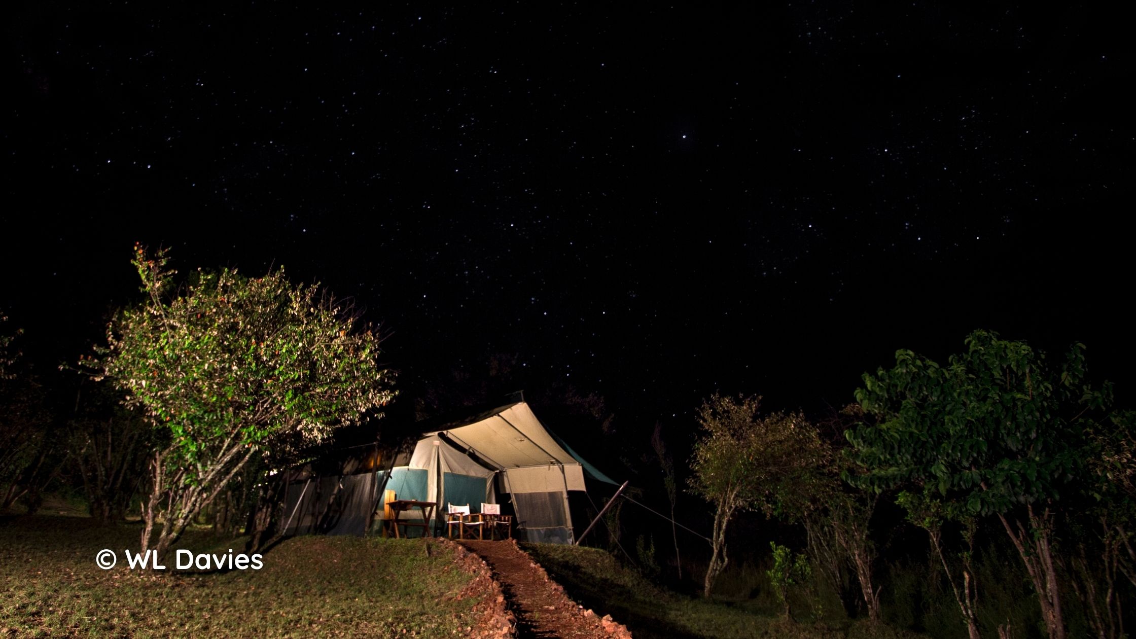 Safari tent at night