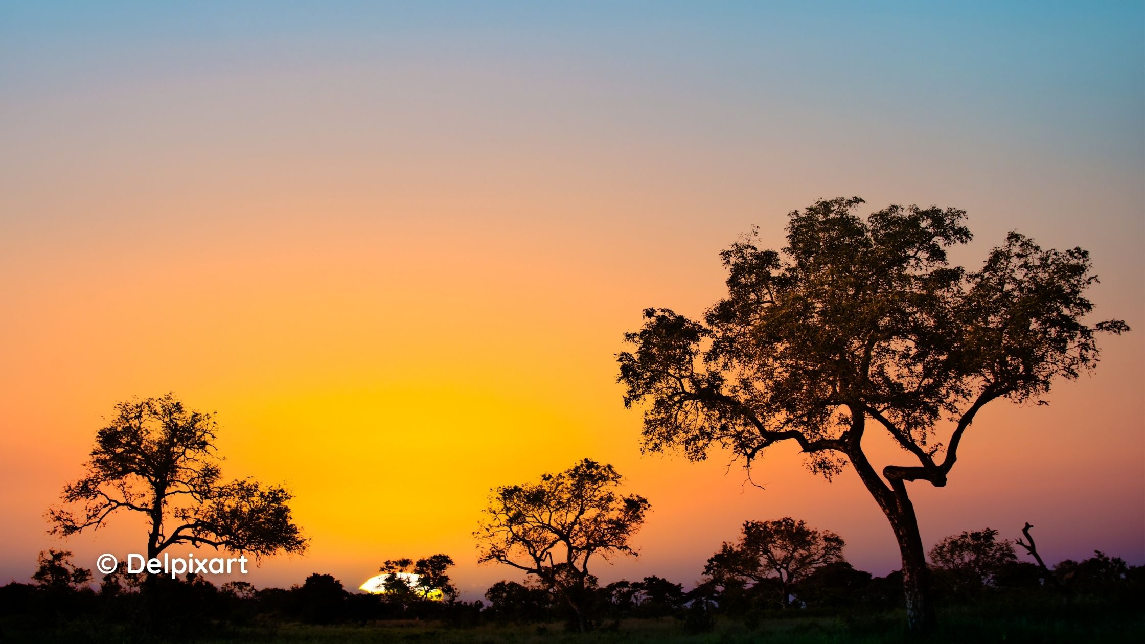 Kruger Park in South Africa